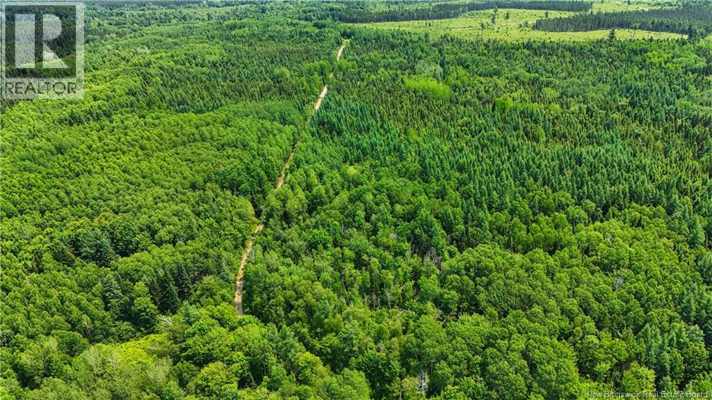 Route 425, Exmoor, New Brunswick  E9E 1L4 - Photo 23 - NB142914