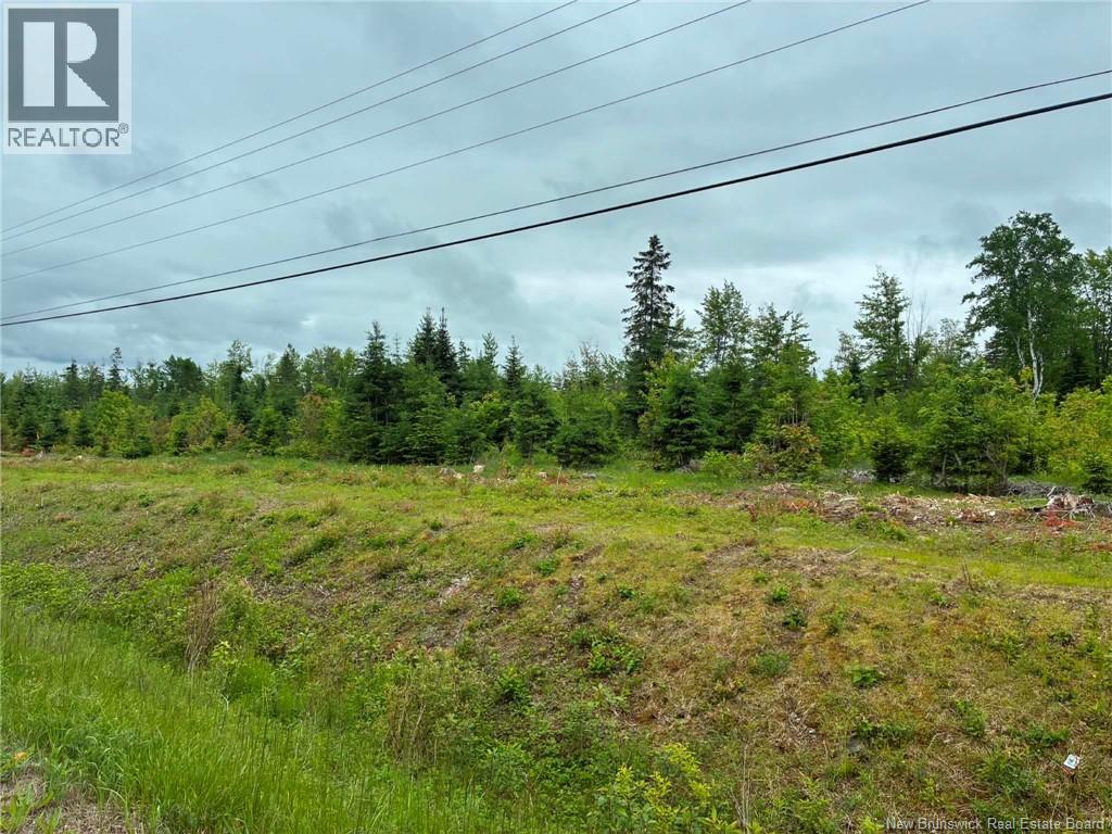 Route 17, Kedgwick, New Brunswick  E8B 1X2 - Photo 2 - NB142658