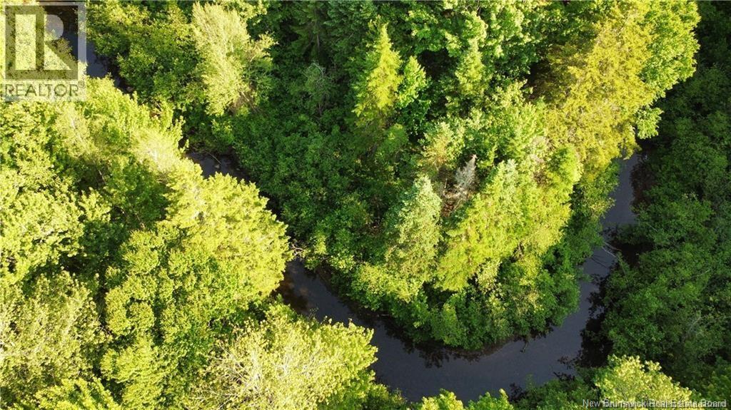 Lot 21-43 Orchard Avenue, Irishtown, New Brunswick  E1H 0J5 - Photo 10 - NB142881