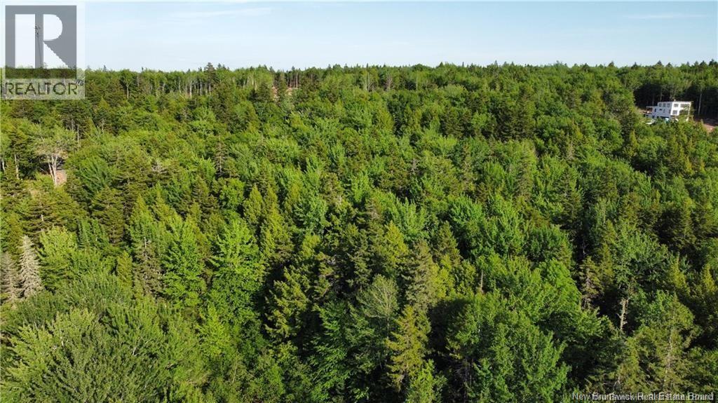 Lot 21-44 Orchard Avenue, Irishtown, New Brunswick  E1H 0J5 - Photo 11 - NB142879