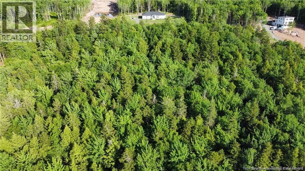 Lot 21-44 Orchard Avenue, Irishtown, New Brunswick  E1H 0J5 - Photo 5 - NB142879
