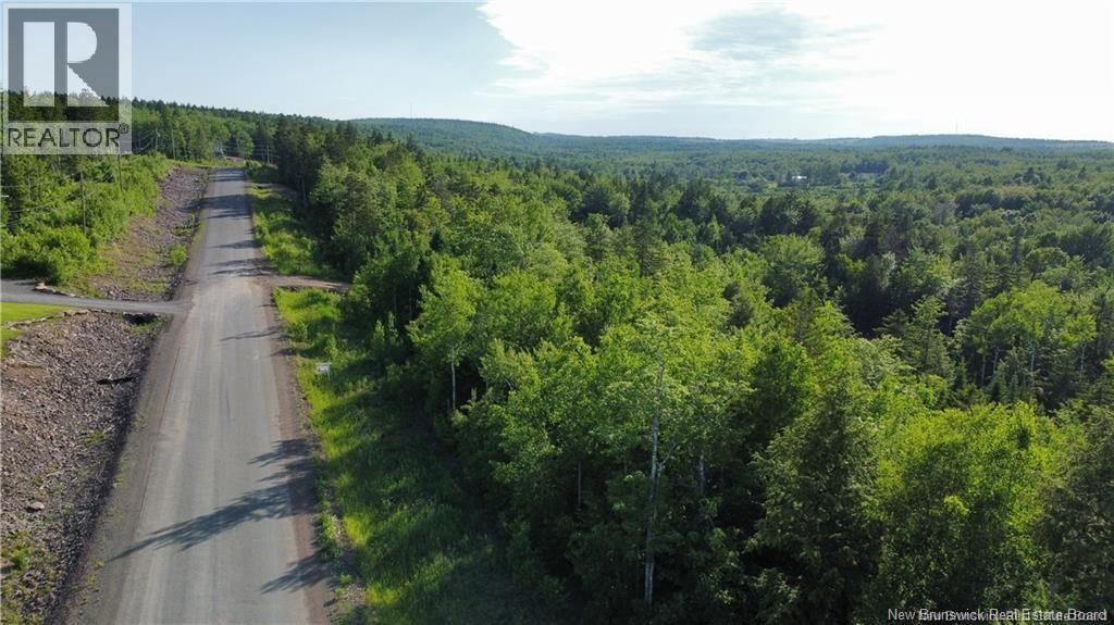 Lot 21-39 Orchard Avenue, Irishtown, New Brunswick  E1H 0J5 - Photo 2 - NB142877