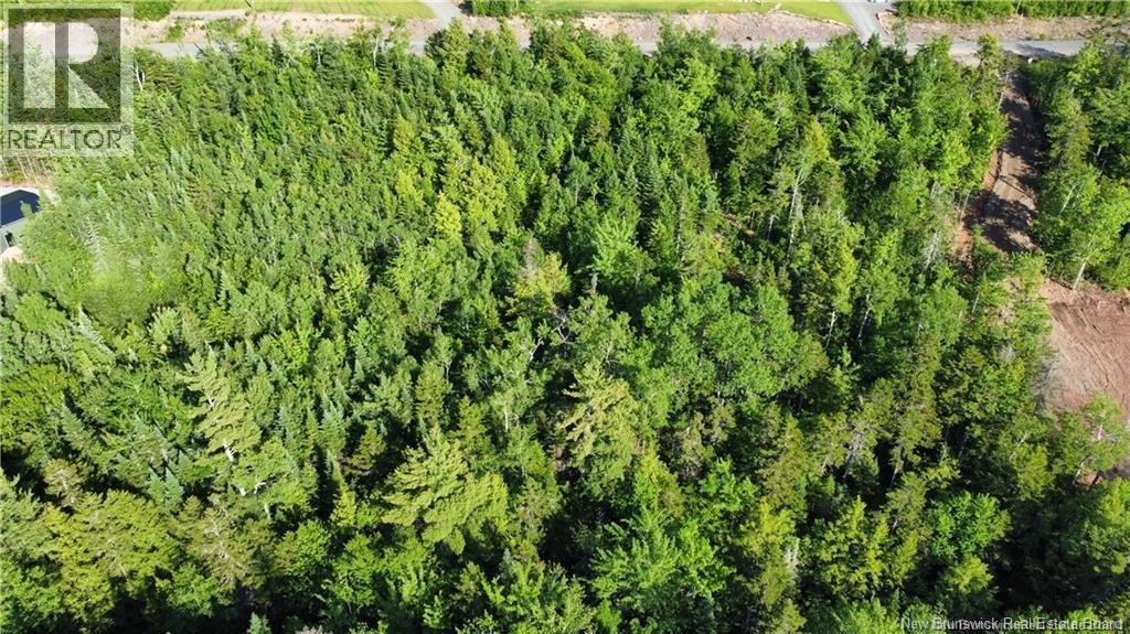 Lot 21-39 Orchard Avenue, Irishtown, New Brunswick  E1H 0J5 - Photo 5 - NB142877
