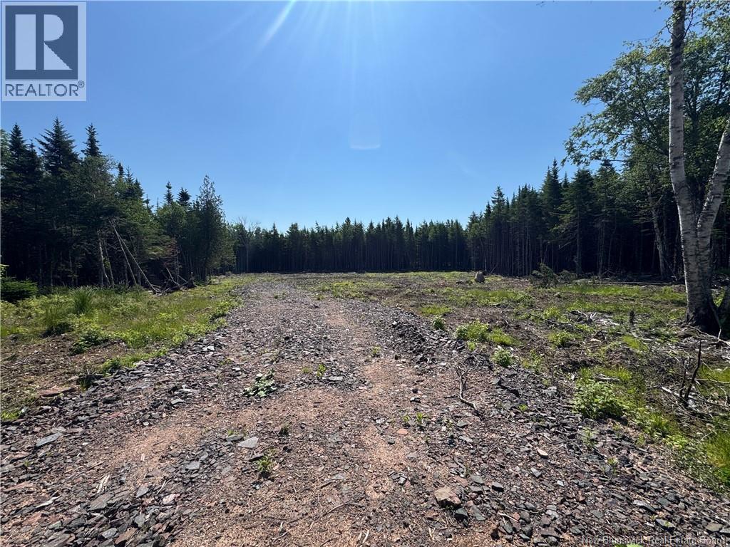 Lot 6 Cedarwood Drive, Lakeside, New Brunswick E5N 6N8 - Photo 2 - NB143198