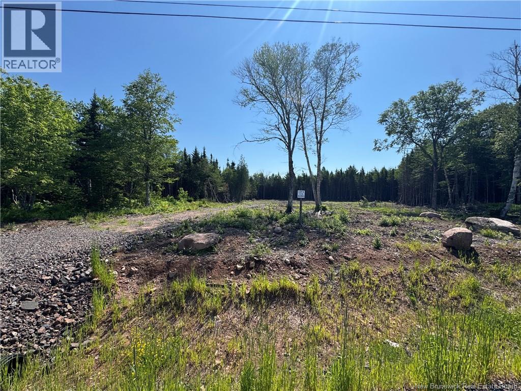 Lot 6 Cedarwood Drive, Lakeside, New Brunswick E5N 6N8 - Photo 3 - NB143198