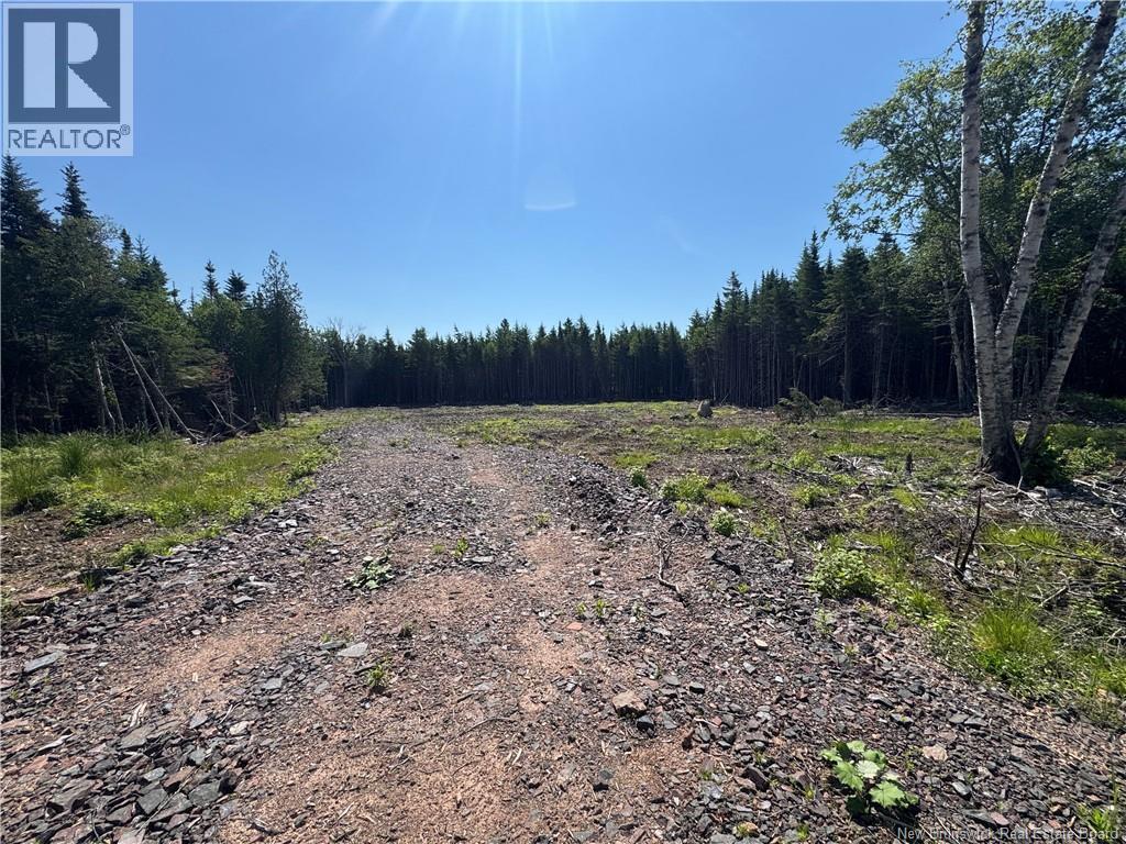 Lot 6 Cedarwood Drive, Lakeside, New Brunswick E5N 6N8 - Photo 6 - NB143198