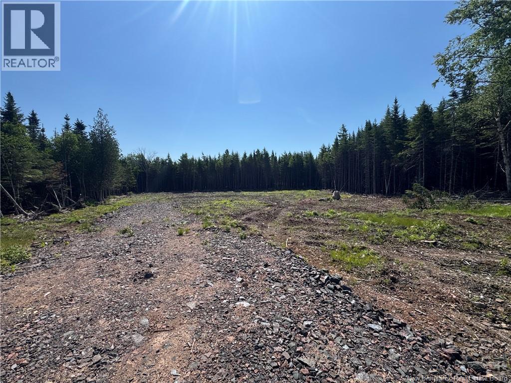 Lot 6 Cedarwood Drive, Lakeside, New Brunswick E5N 6N8 - Photo 7 - NB143198