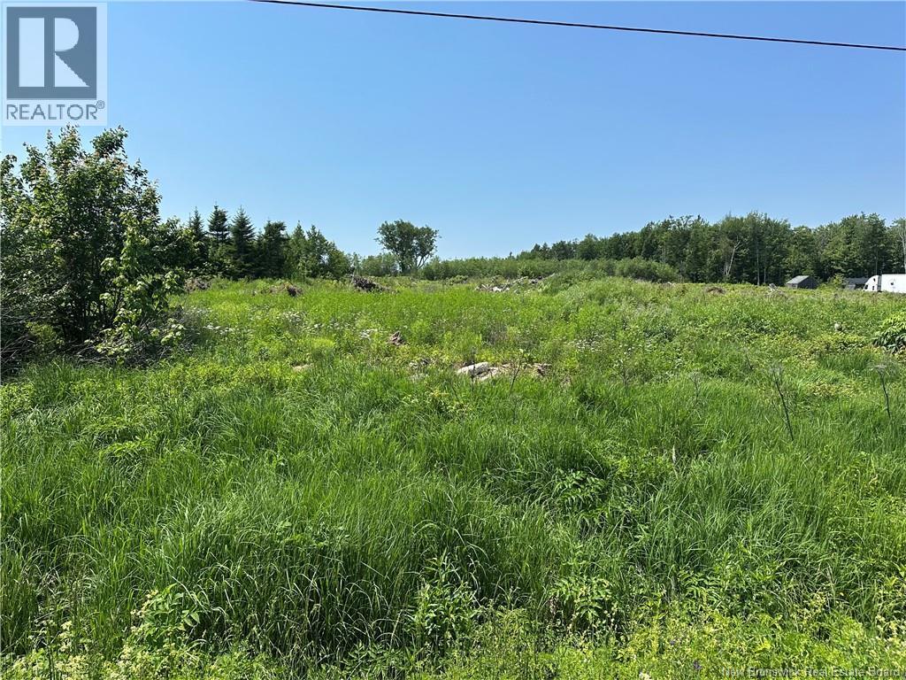 Lot 1 Route 620, Hamtown Corner, New Brunswick  E3G 6P4 - Photo 1 - NB143230