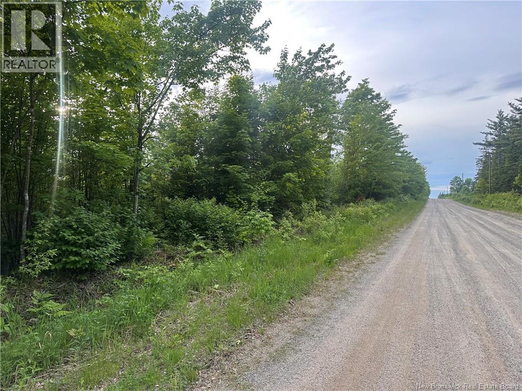 Lot Tay Falls Road, Woodlands, New Brunswick  E6L 2C6 - Photo 5 - NB143232