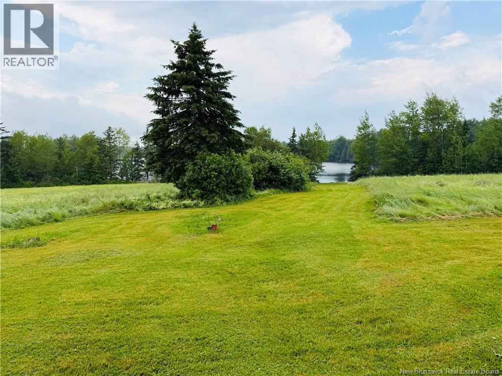 102 Little Branch Road, Black River Bridge, New Brunswick  E1N 5N4 - Photo 30 - NB143234