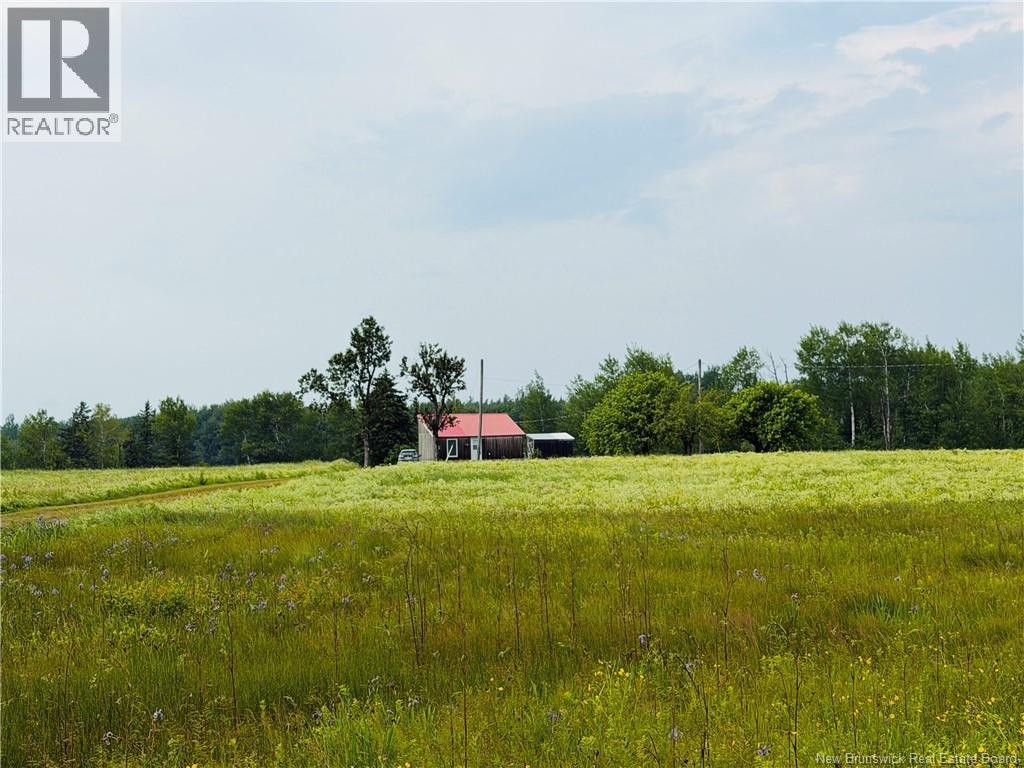 102 Little Branch Road, Black River Bridge, New Brunswick  E1N 5N4 - Photo 35 - NB143234