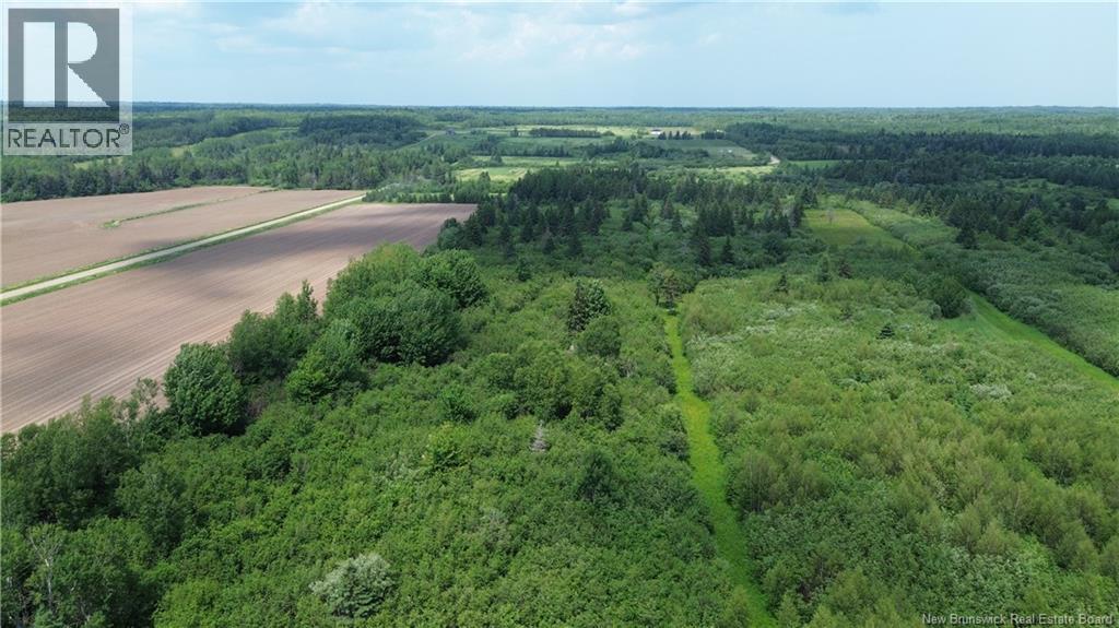 1067 Route 535, Cocagne, New Brunswick  E4R 3B7 - Photo 5 - NB143135