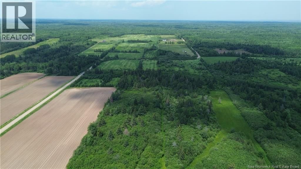 1067 Route 535, Cocagne, New Brunswick  E4R 3B7 - Photo 6 - NB143135