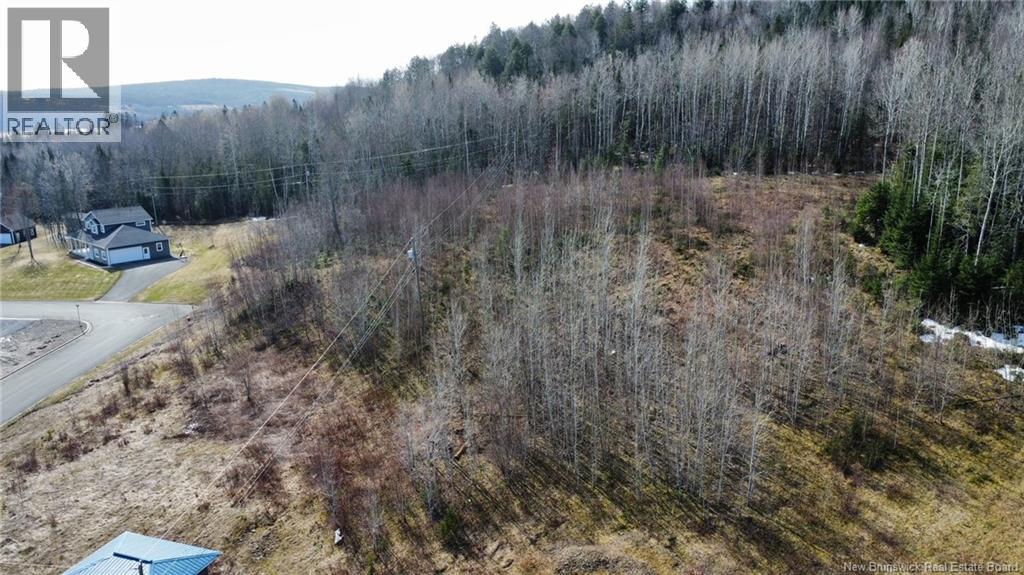 N/a Lot Andow Street, Woodstock, New Brunswick  E7M 0B8 - Photo 2 - NB143248