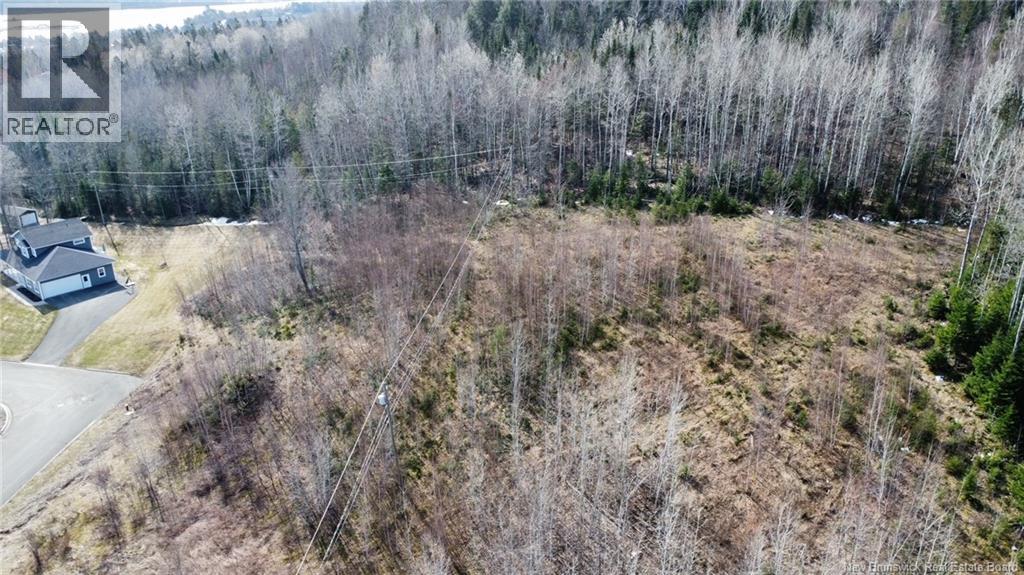 N/a Lot Andow Street, Woodstock, New Brunswick  E7M 0B8 - Photo 4 - NB143248