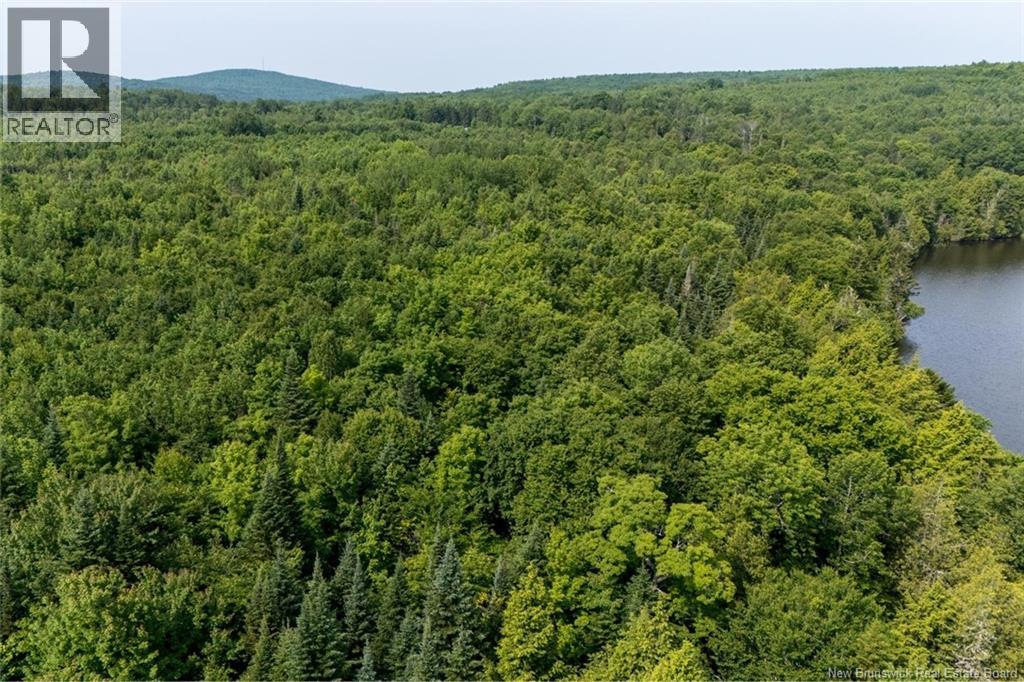 N/a Mud Lake Road, Upper Skiff Lake, New Brunswick  E6H 1R7 - Photo 11 - NB143182