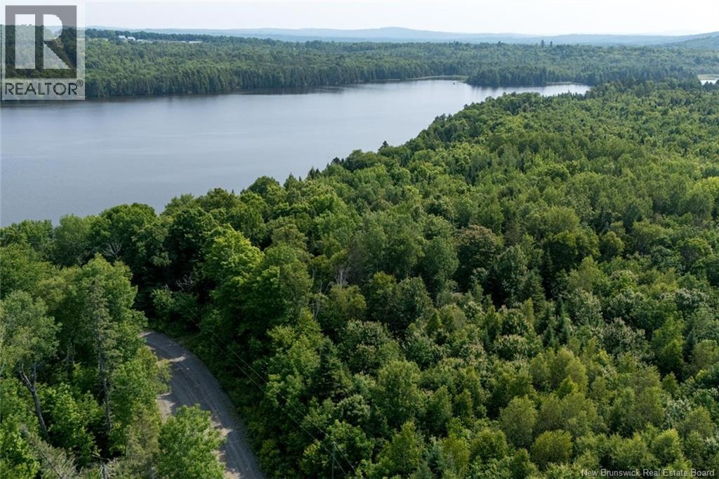 N/a Mud Lake Road, Upper Skiff Lake, New Brunswick  E6H 1R7 - Photo 13 - NB143182