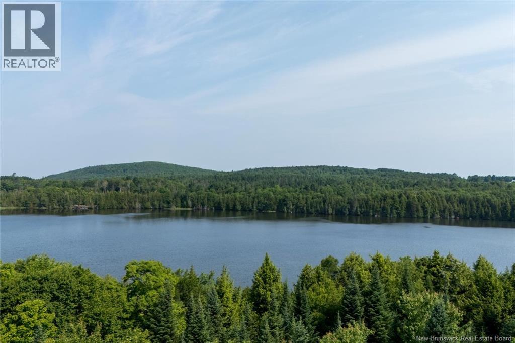 N/a Mud Lake Road, Upper Skiff Lake, New Brunswick  E6H 1R7 - Photo 15 - NB143182