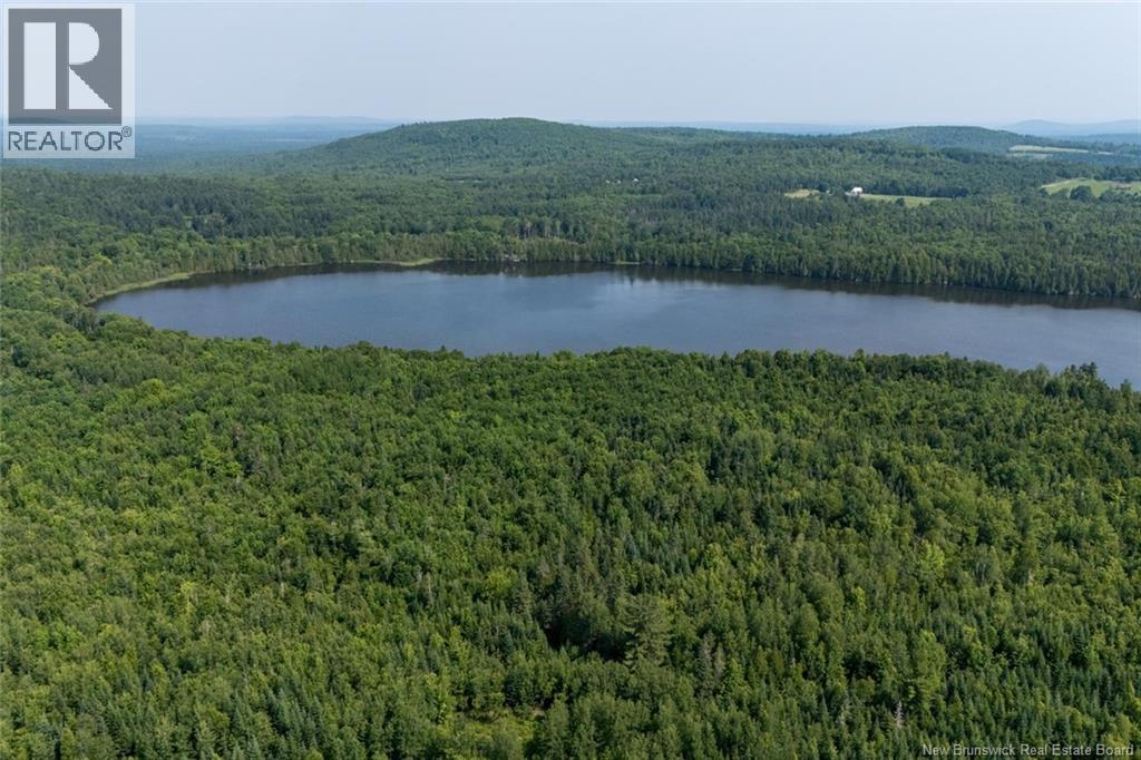 N/a Mud Lake Road, Upper Skiff Lake, New Brunswick  E6H 1R7 - Photo 16 - NB143182