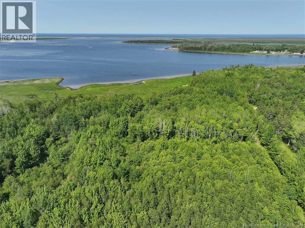 Lot Bedec Road, Richibucto-Village, New Brunswick  E4W 1B2 - Photo 12 - NB142737