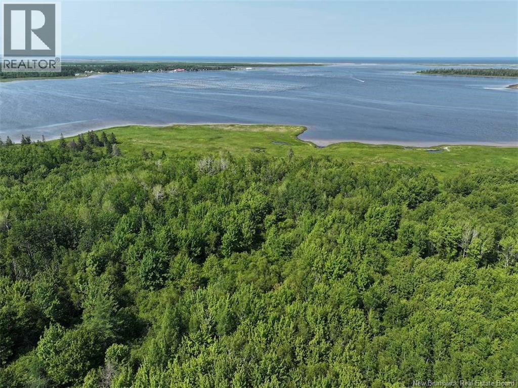 Lot Bedec Road, Richibucto-Village, New Brunswick  E4W 1B2 - Photo 13 - NB142737