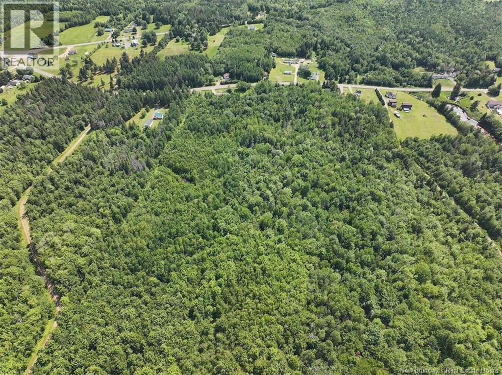 Lot Bedec Road, Richibucto-Village, New Brunswick  E4W 1B2 - Photo 28 - NB142737