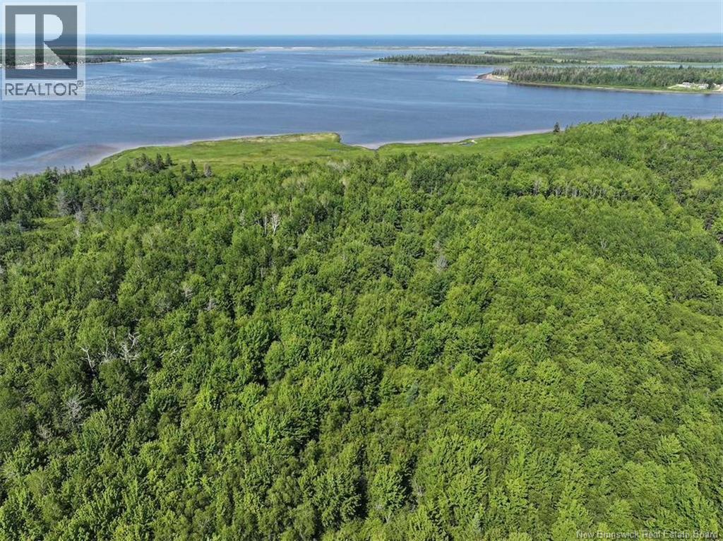 Lot Bedec Road, Richibucto-Village, New Brunswick  E4W 1B2 - Photo 6 - NB142737
