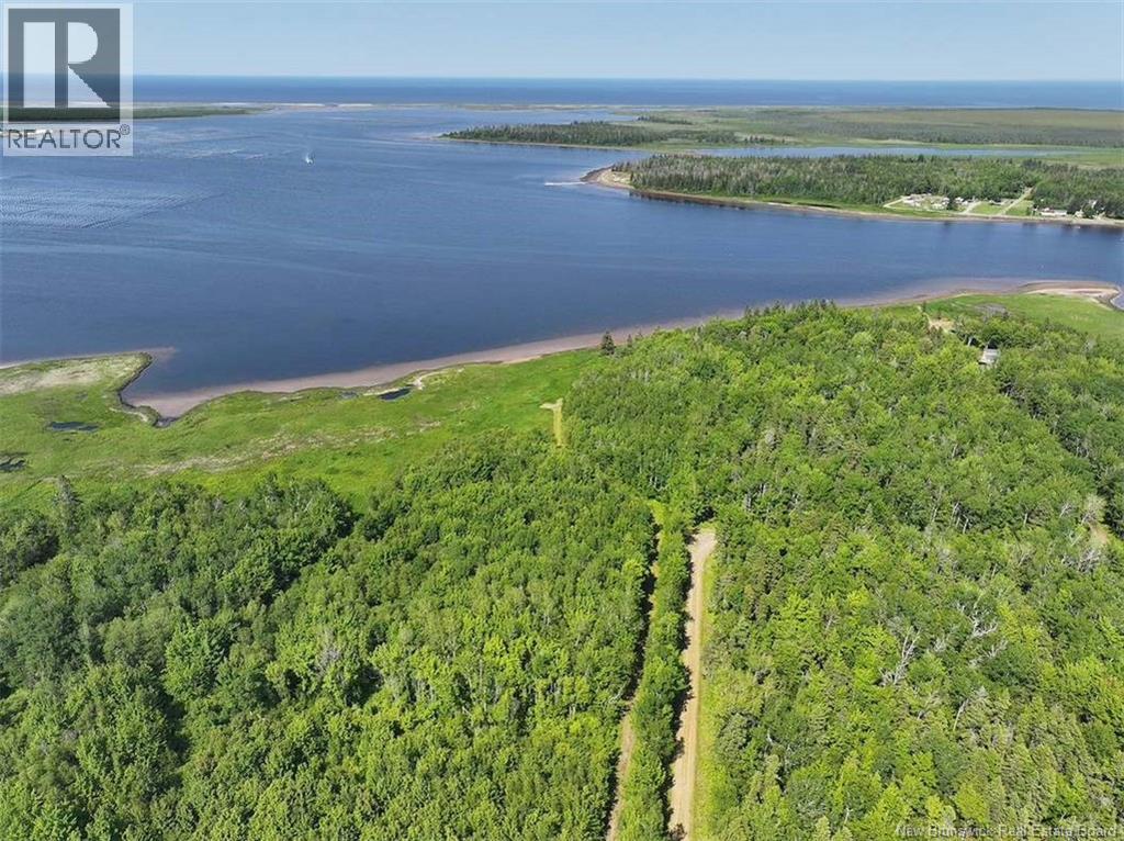 Lot Bedec Road, Richibucto-Village, New Brunswick  E4W 1B2 - Photo 11 - NB142741
