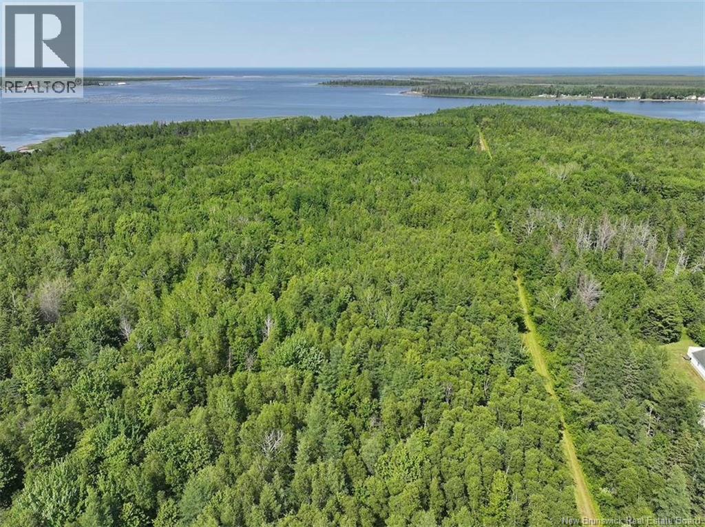 Lot Bedec Road, Richibucto-Village, New Brunswick  E4W 1B2 - Photo 34 - NB142741