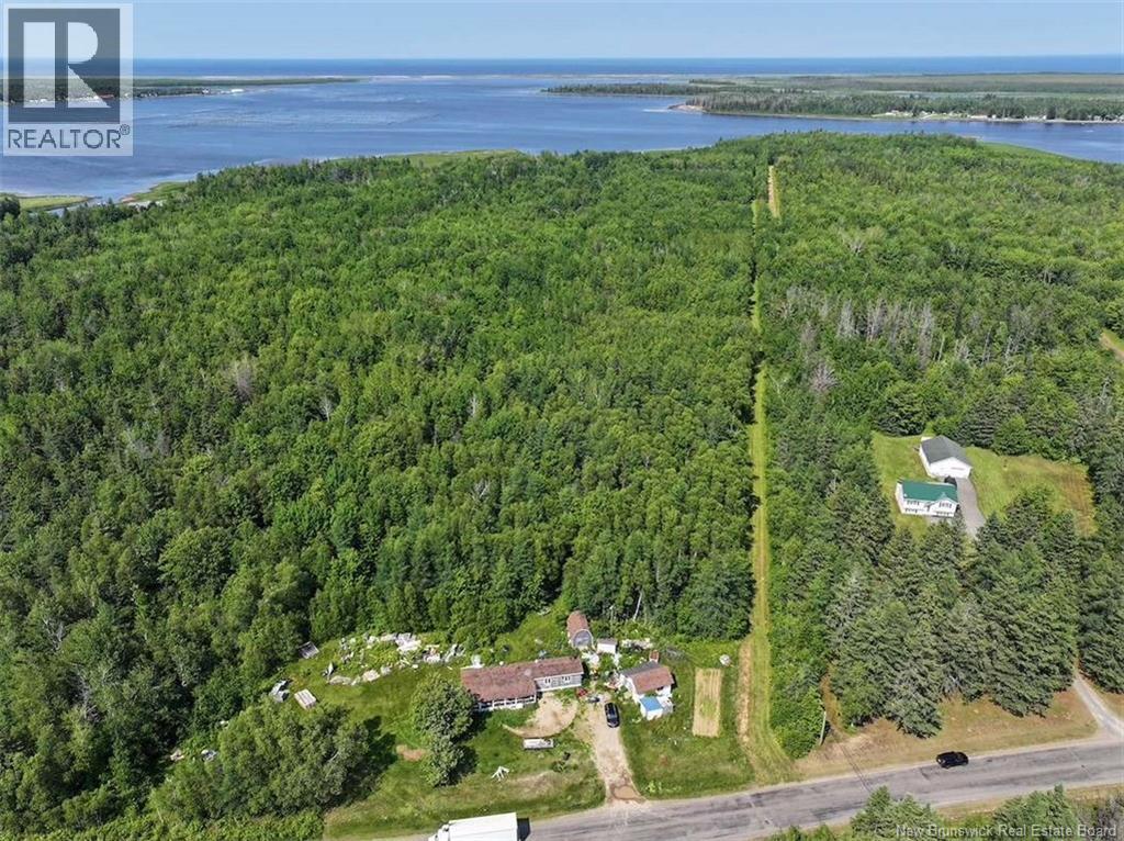 Lot Bedec Road, Richibucto-Village, New Brunswick  E4W 1B2 - Photo 5 - NB142741