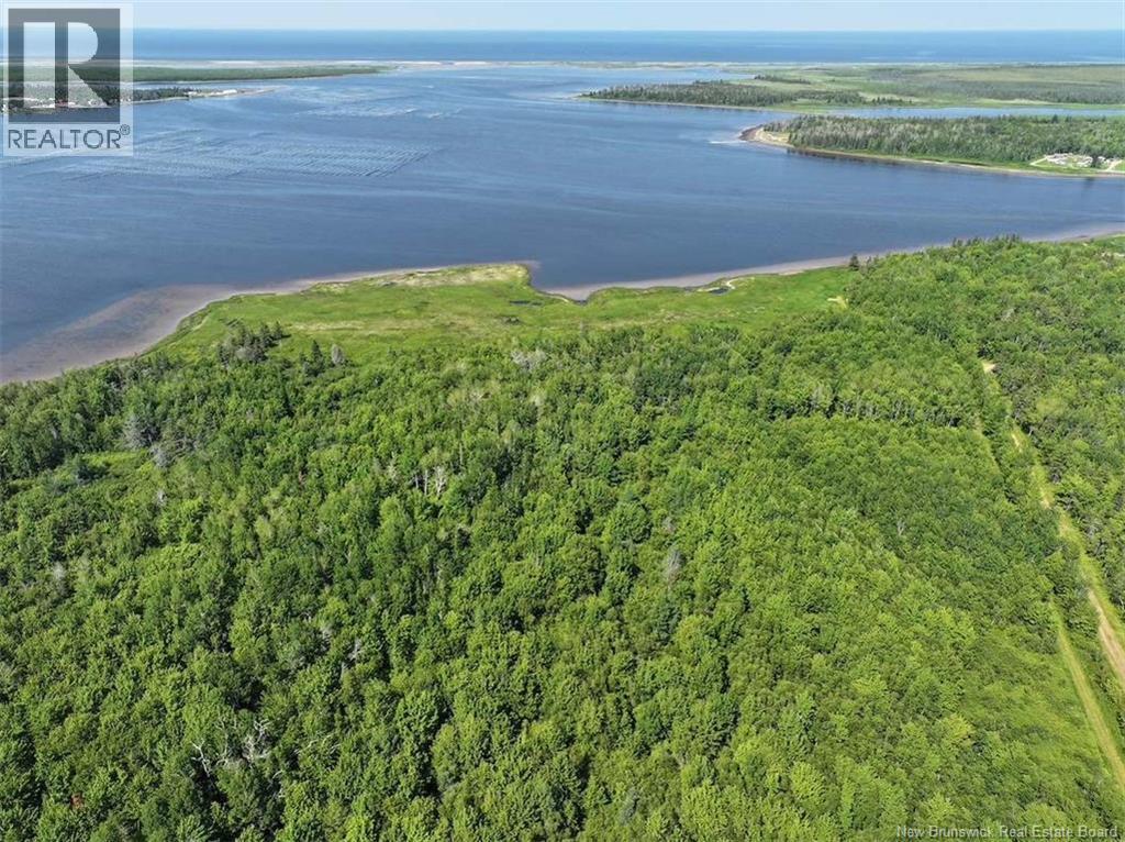 Lot Bedec Road, Richibucto-Village, New Brunswick  E4W 1B2 - Photo 7 - NB142741