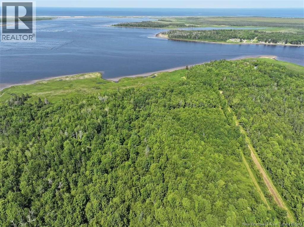 Lot Bedec Road, Richibucto-Village, New Brunswick  E4W 1B2 - Photo 8 - NB142741