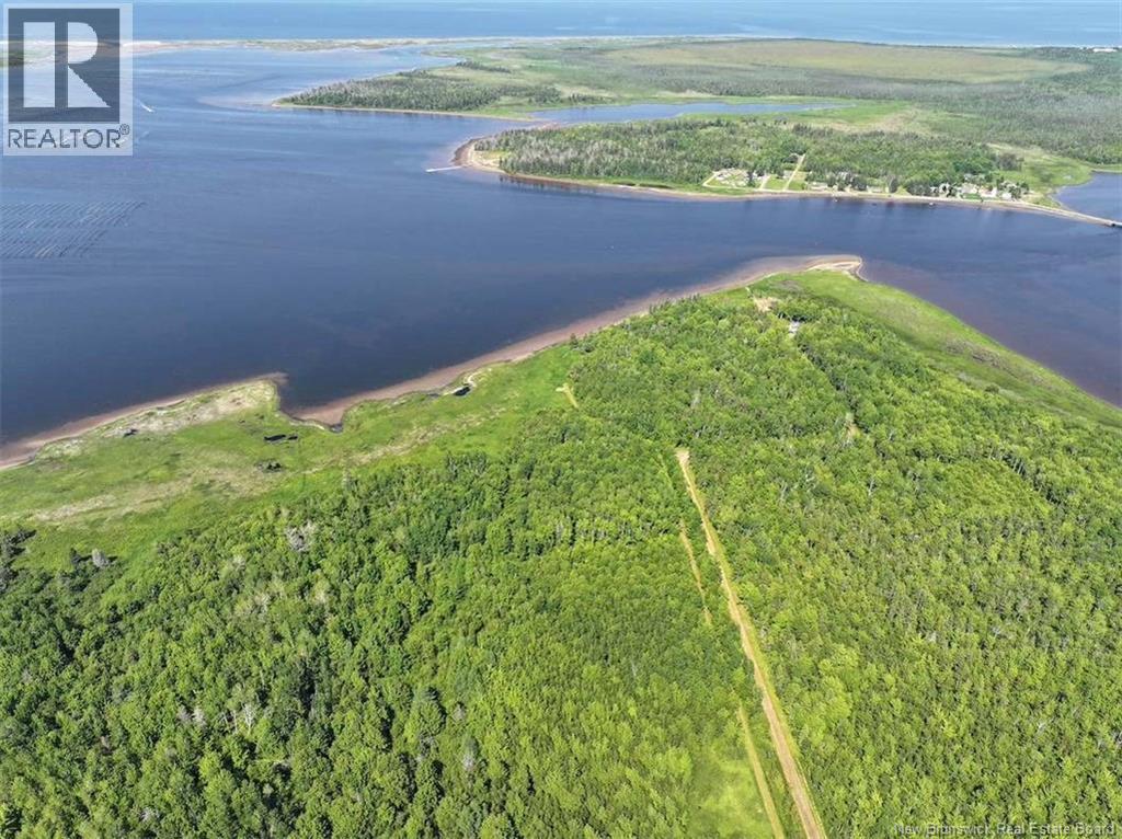 Lot Bedec Road, Richibucto-Village, New Brunswick  E4W 1B2 - Photo 9 - NB142741