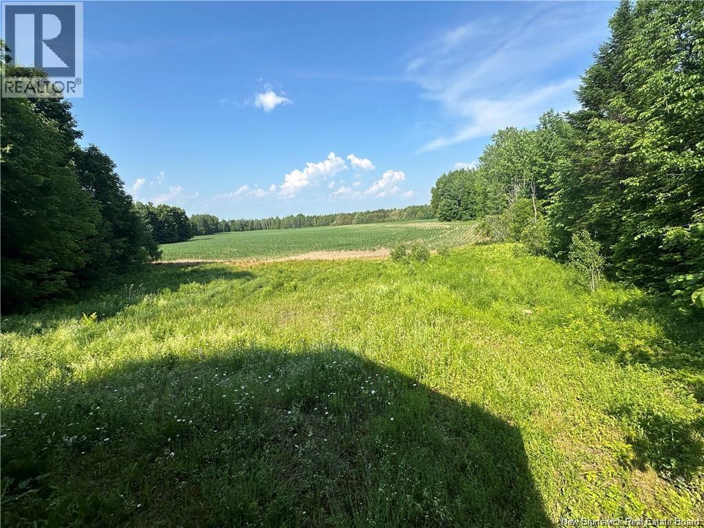 438 Sharkey Road, Jacksontown, New Brunswick  E3C 1W7 - Photo 19 - NB143228