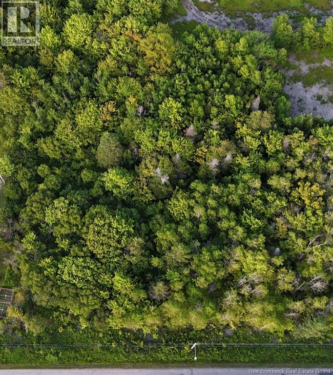 1.42 Acre Rue De La Baie, Maisonnette, New Brunswick  E8N 2A9 - Photo 3 - NB143218