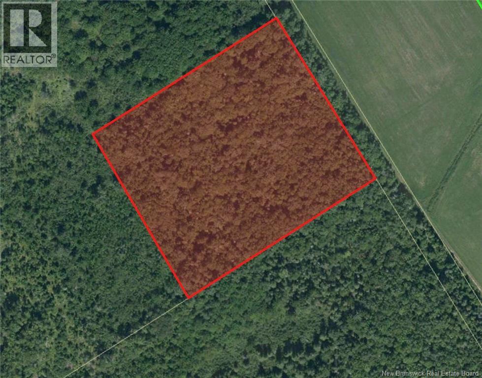 Lot Saint-Damien Road, Sainte-Marie-De-Kent, New Brunswick