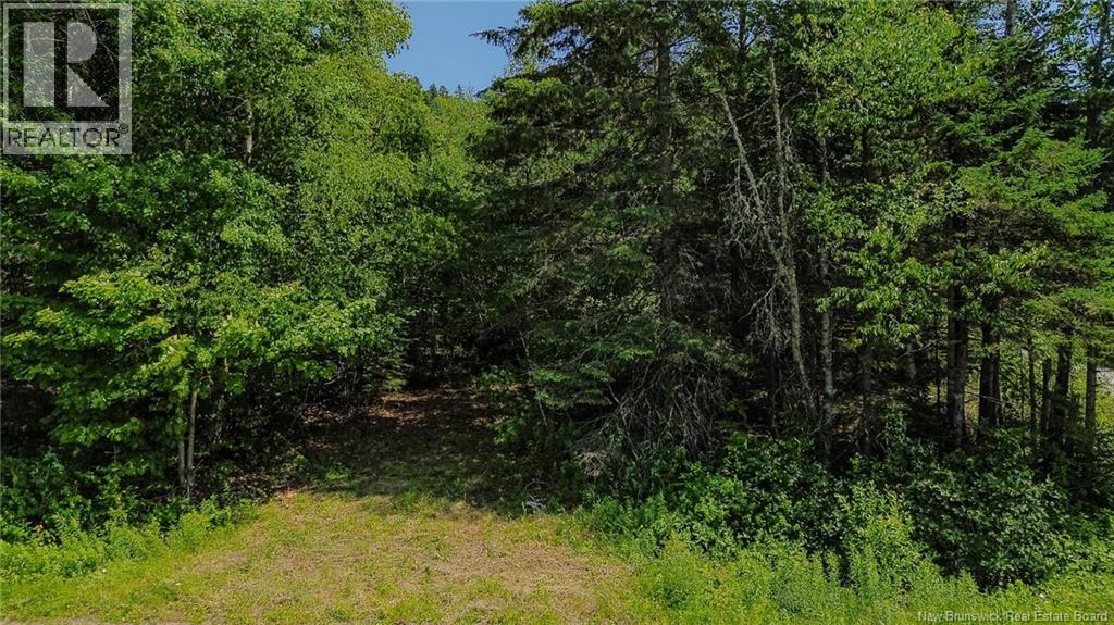 Vacant Land Route 845, Kingston, New Brunswick  E5N 1P3 - Photo 3 - NB143112