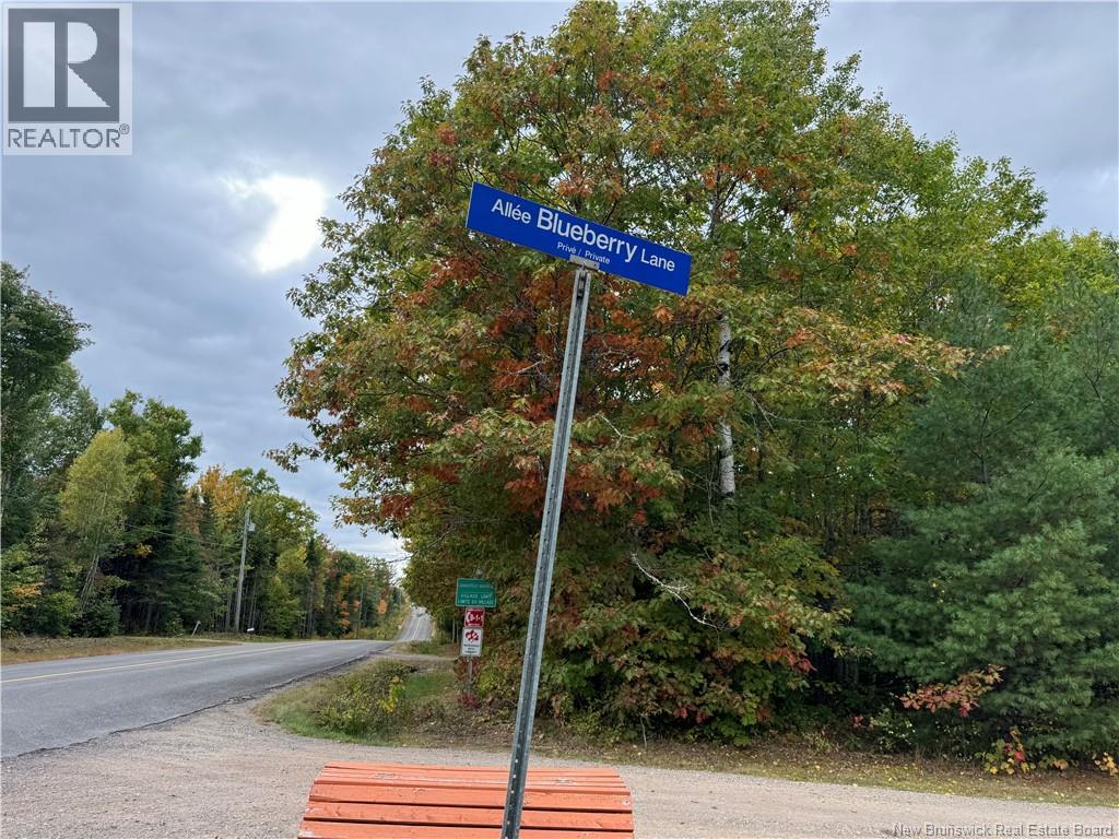 Blueberry Lane, Codys, New Brunswick  E4C 1E3 - Photo 2 - NB143421
