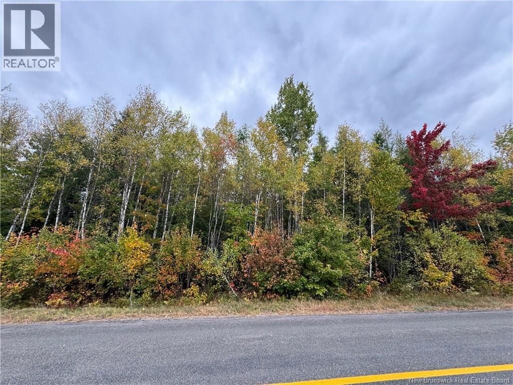 Blueberry Lane, Codys, New Brunswick  E4C 1E3 - Photo 5 - NB143421