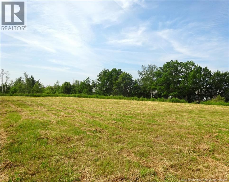 Lot 00-1 Donat Street, Shediac, New Brunswick  E4P 1P9 - Photo 6 - NB143476