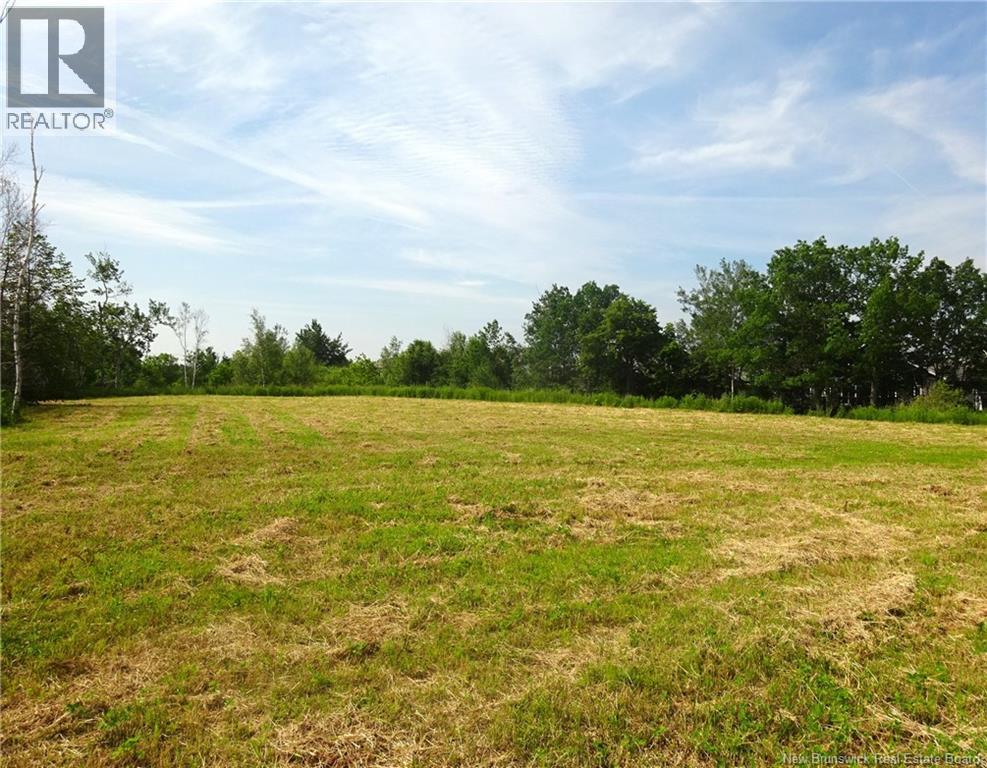 Lot 00-1 Donat Street, Shediac, New Brunswick  E4P 1P9 - Photo 7 - NB143476