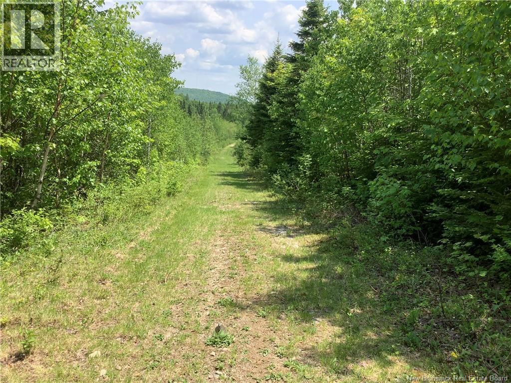 35 Ch Rang 7 Et 8, Kedgwick, New Brunswick  E8B 1V8 - Photo 32 - NB143458