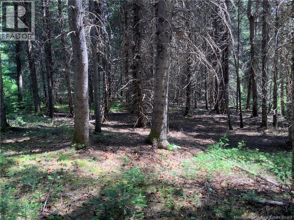 35 Ch Rang 7 Et 8, Kedgwick, New Brunswick  E8B 1V8 - Photo 5 - NB143458