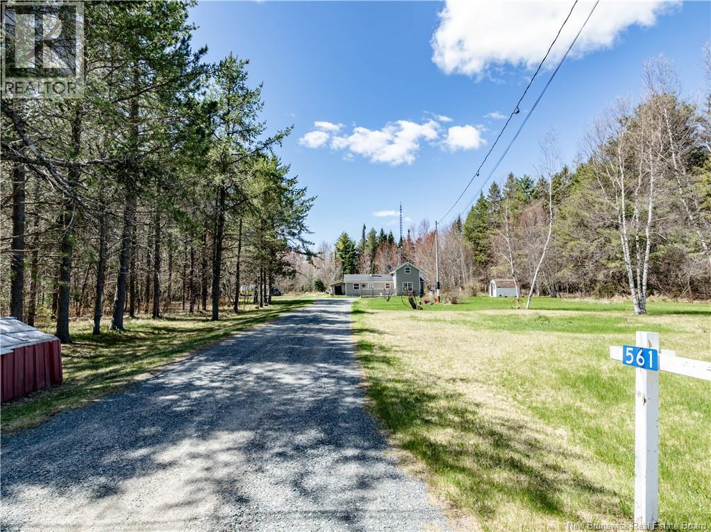 561 Gray Road, Saint-Charles, New Brunswick E4W 4N3 - Photo 6 - NB143262