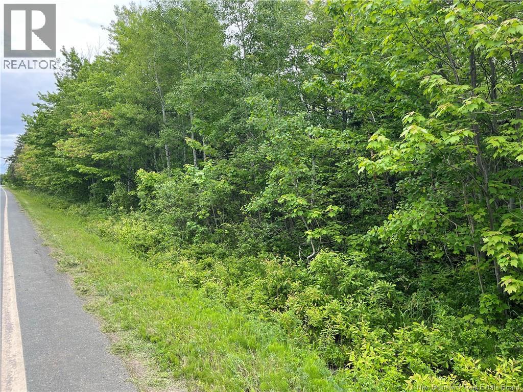 00 Rte 303, Village-Des-Poirier, New Brunswick