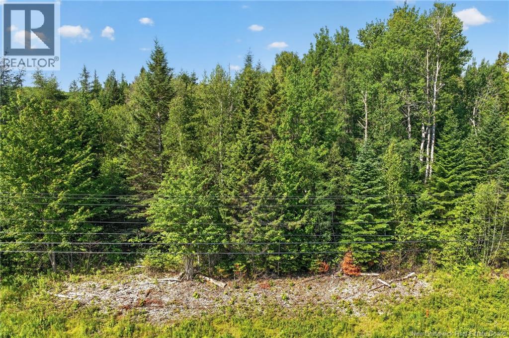 Lot 24-2 Route 126, Indian Mountain, New Brunswick  E1G 2Z2 - Photo 10 - NB143102