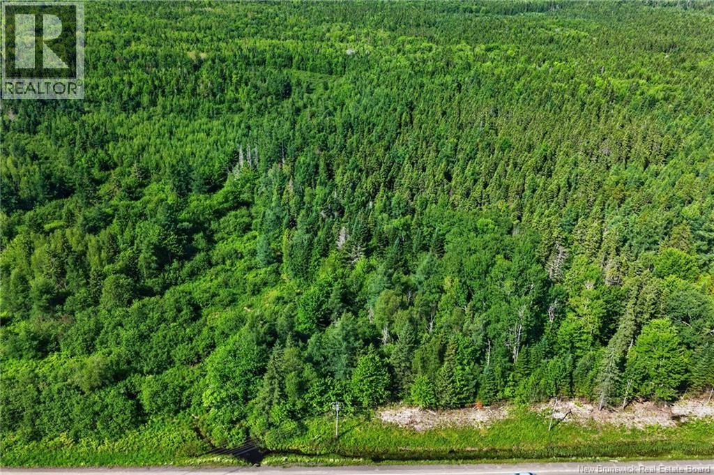 Lot 24-2 Route 126, Indian Mountain, New Brunswick  E1G 2Z2 - Photo 3 - NB143102
