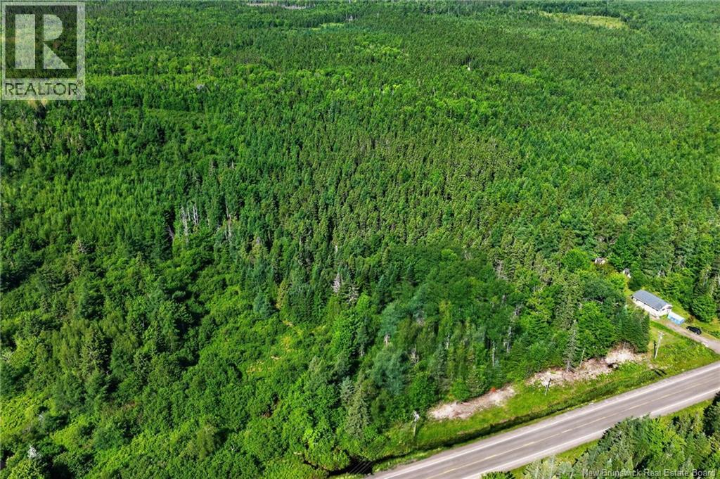 Lot 24-2 Route 126, Indian Mountain, New Brunswick  E1G 2Z2 - Photo 4 - NB143102