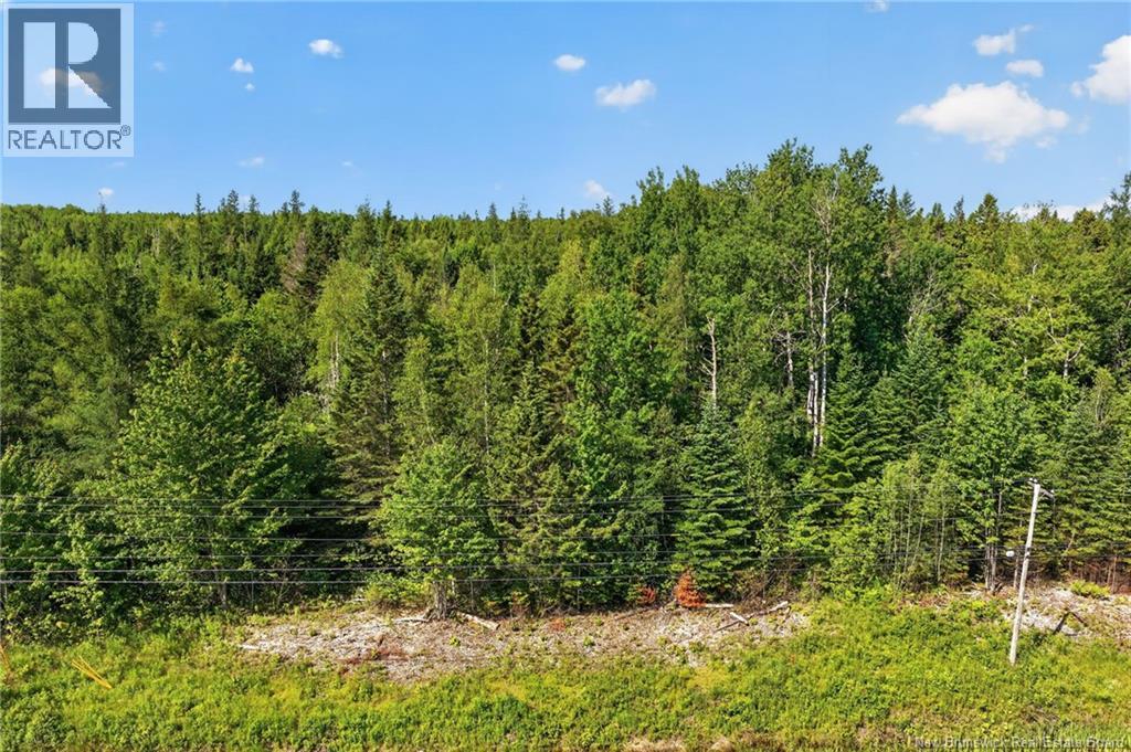 Lot 24-2 Route 126, Indian Mountain, New Brunswick  E1G 2Z2 - Photo 9 - NB143102