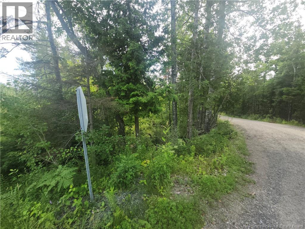 21-01 Sunset Drive, Bayside, New Brunswick  E5B 2Y6 - Photo 3 - NB143551